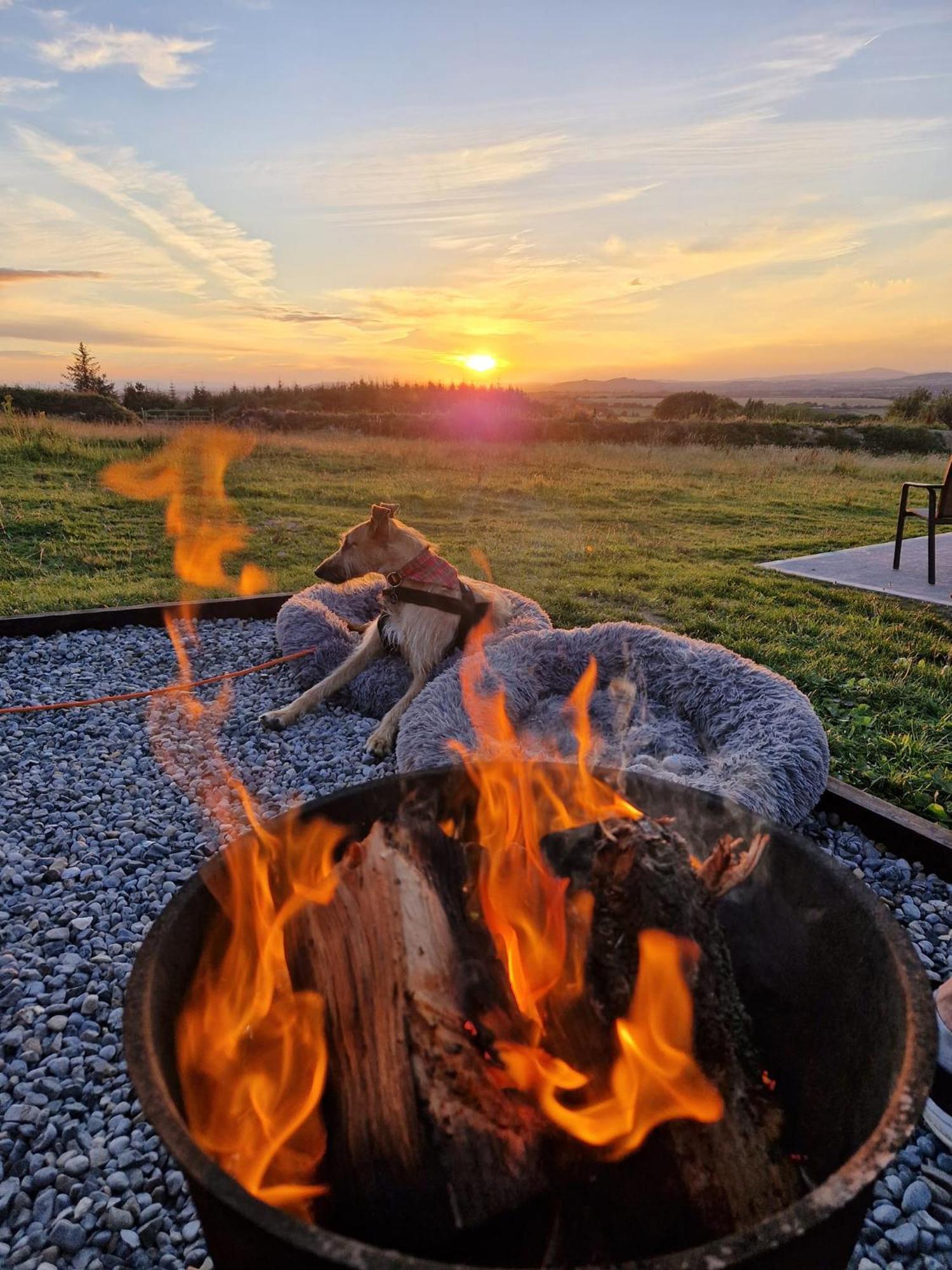 Forth Mountain Glamping Ballintlea Zewnętrze zdjęcie