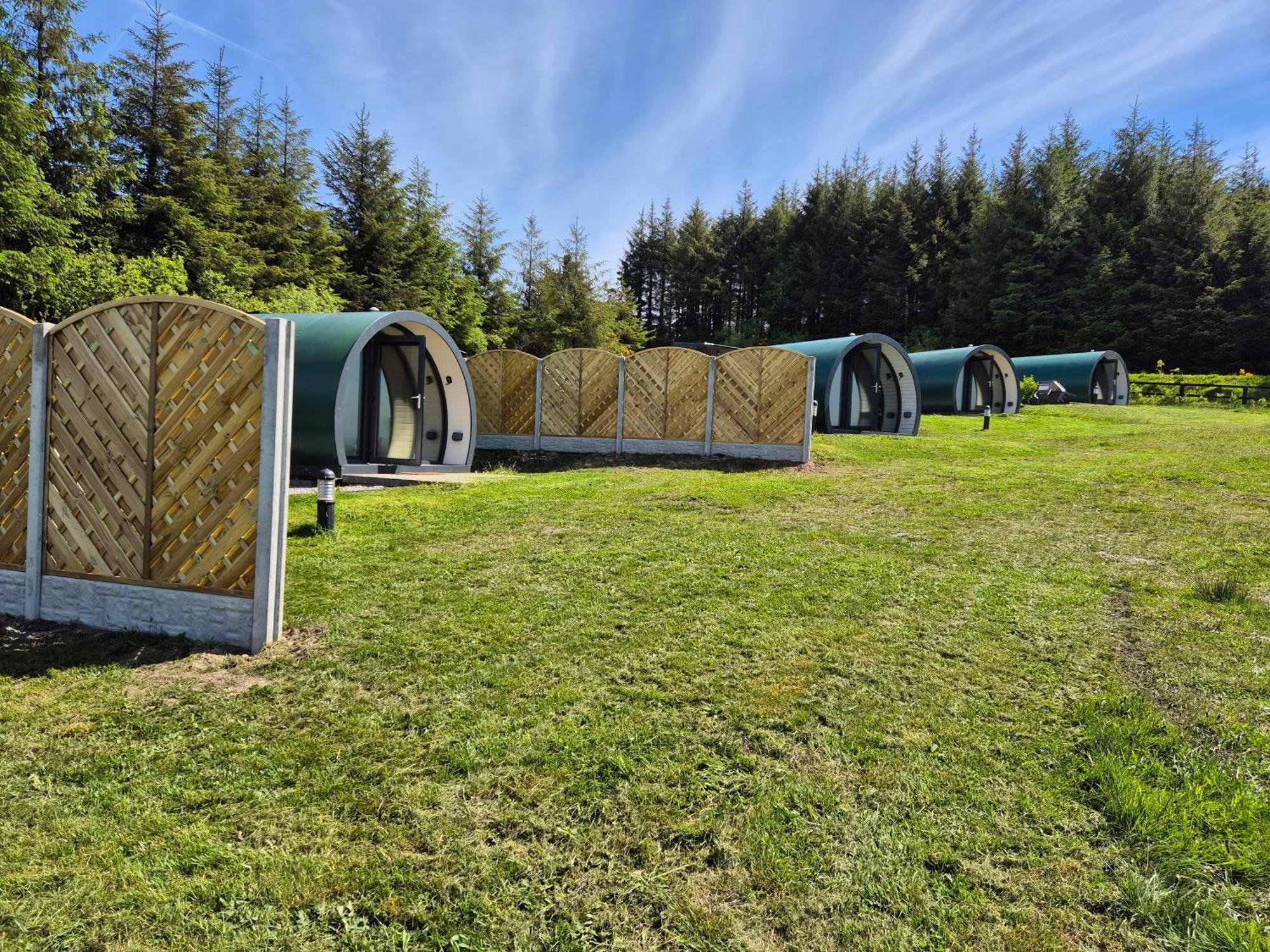 Forth Mountain Glamping Ballintlea Zewnętrze zdjęcie